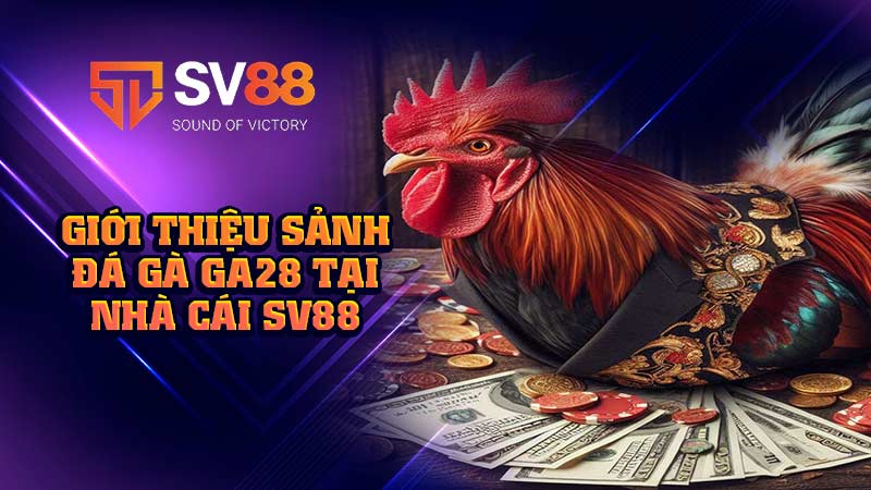 giới-thiệu-sảnh-đá-gà-ga28-tại-nhà cái sv88