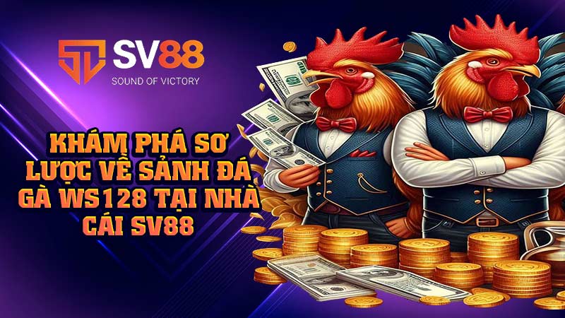khám-phá-sơ-lược-về-sảnh-đá-gà-ws128-tại-nhà-cái sv88