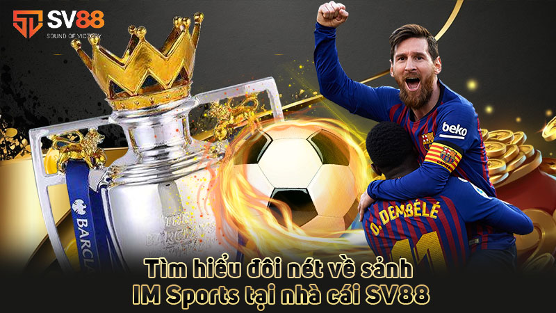 tìm-hiểu-đôi-nét-về-sảnhim sports tại nhà cái sv88