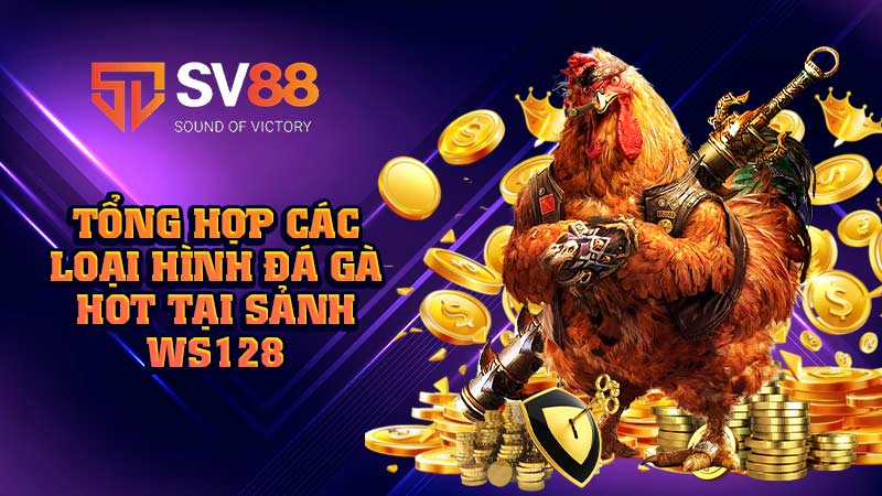 tổng-hợp-các-loại-hình-đá-gà-hot-tại-sảnh ws128